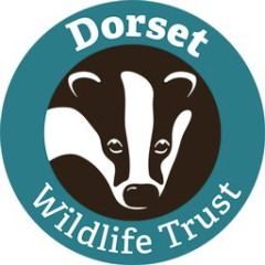 Dorset Wildlife Trust