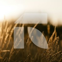 Rural Solutions