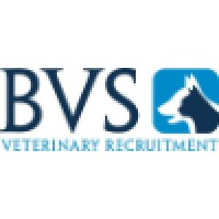 BVS Vets