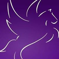 Pegasus Search & Selection